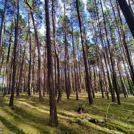 롯지 Heaven Kujanki *